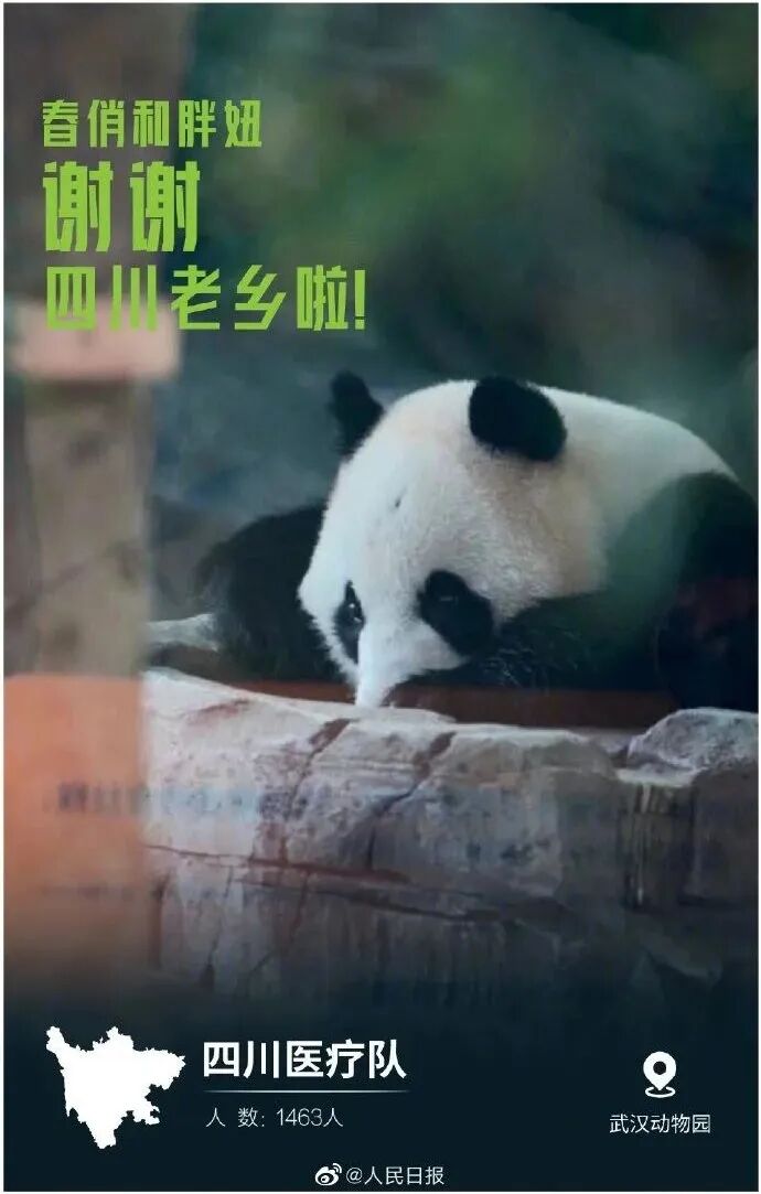 微信图片_20200318162126.jpg