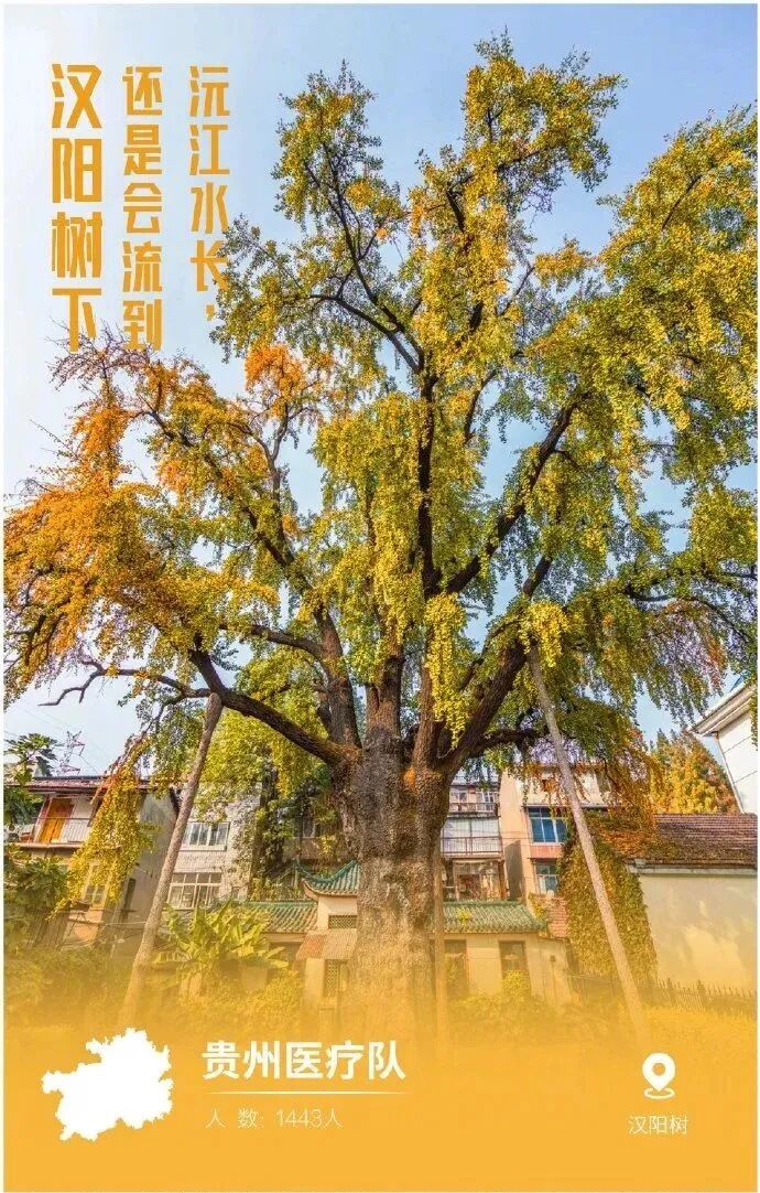 微信图片_20200318162129.jpg