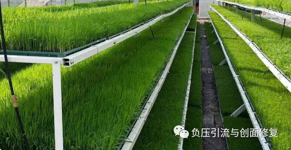 为什么负压引流骨科精读 ｜ 经验总结：如何确保封闭式负压引流后的有效引流？_https://www.jmylbn.com_新闻资讯_第3张