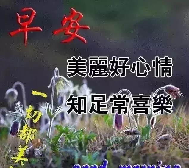 9月22日早晨好问候语动态图片表情 早上好最棒问候哲理祝福语 姊妹情 微信公众号文章阅读 Wemp
