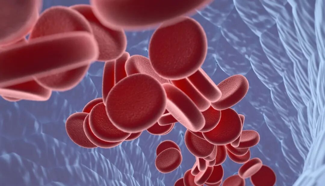 血小板660有什么危害一文读懂 ｜ 慢性肝病导致血小板减少的6大原因和治疗！_https://www.jmylbn.com_新闻资讯_第2张