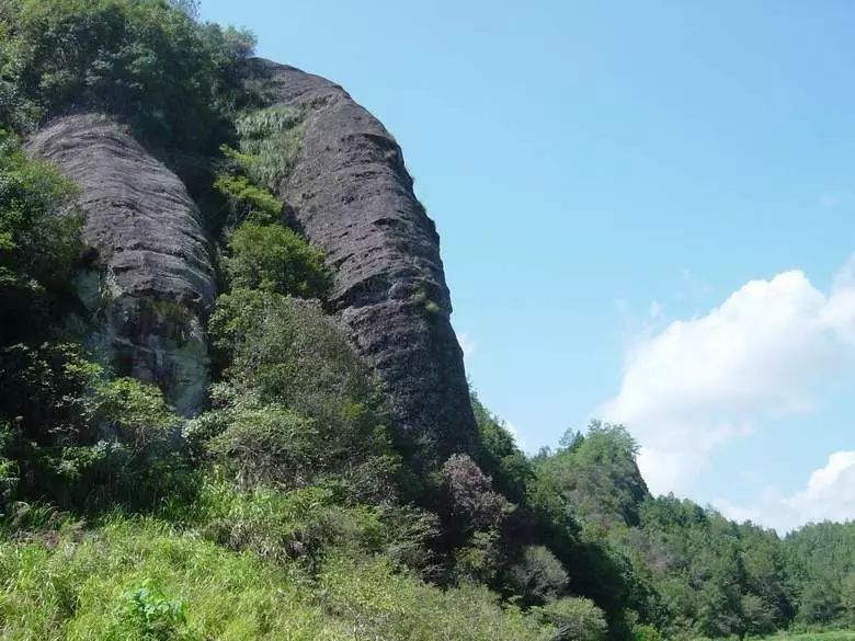 "象肉—象鼻岩肉桂