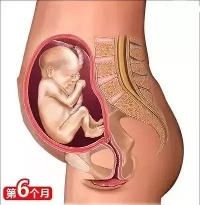 备孕垫枕头的方法图_备孕枕头垫在腰下有什么作用_备孕枕头放置图片