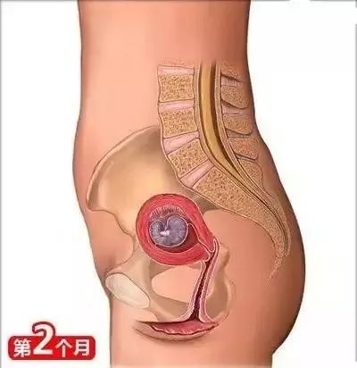 备孕枕头垫在腰下有什么作用_备孕枕头放置图片_备孕垫枕头的方法图
