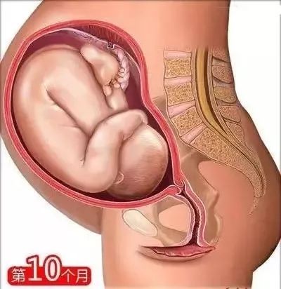 备孕垫枕头的方法图_备孕枕头放置图片_备孕枕头垫在腰下有什么作用