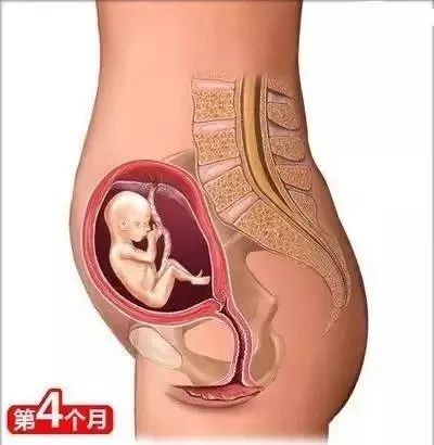备孕枕头垫在腰下有什么作用_备孕枕头放置图片_备孕垫枕头的方法图