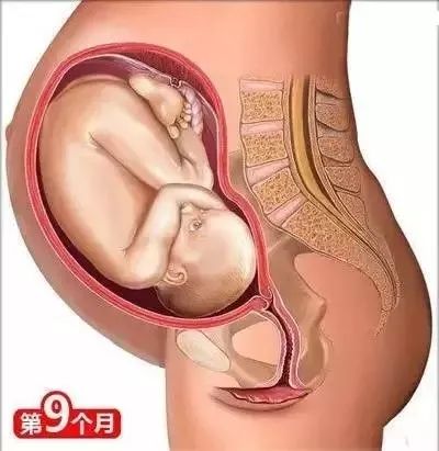 备孕枕头放置图片_备孕垫枕头的方法图_备孕枕头垫在腰下有什么作用