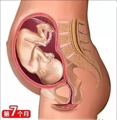 备孕垫枕头的方法图_备孕枕头放置图片_备孕枕头垫在腰下有什么作用
