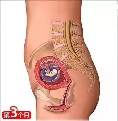 备孕垫枕头的方法图_备孕枕头垫在腰下有什么作用_备孕枕头放置图片