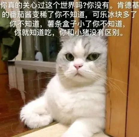 为啥丝袜这么破还穿?-微信头条网 为啥丝袜这么破还穿?