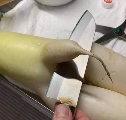 爸爸请的美女私教老师,这是给爸爸报的兴趣班?-微信头条网 爸爸请的美女私教老师,这是给爸爸报的兴趣班?