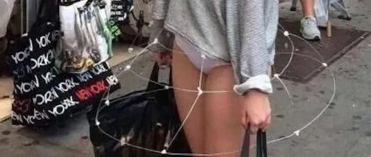 聪明的人才能看见本宫的裙子