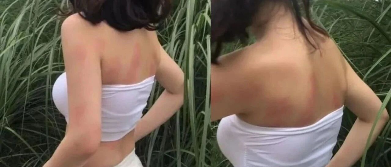 喜欢带女朋友到野外的注意了