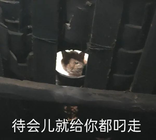 怎么感觉这衣服像P上去的-微信头条网 怎么感觉这衣服像P上去的