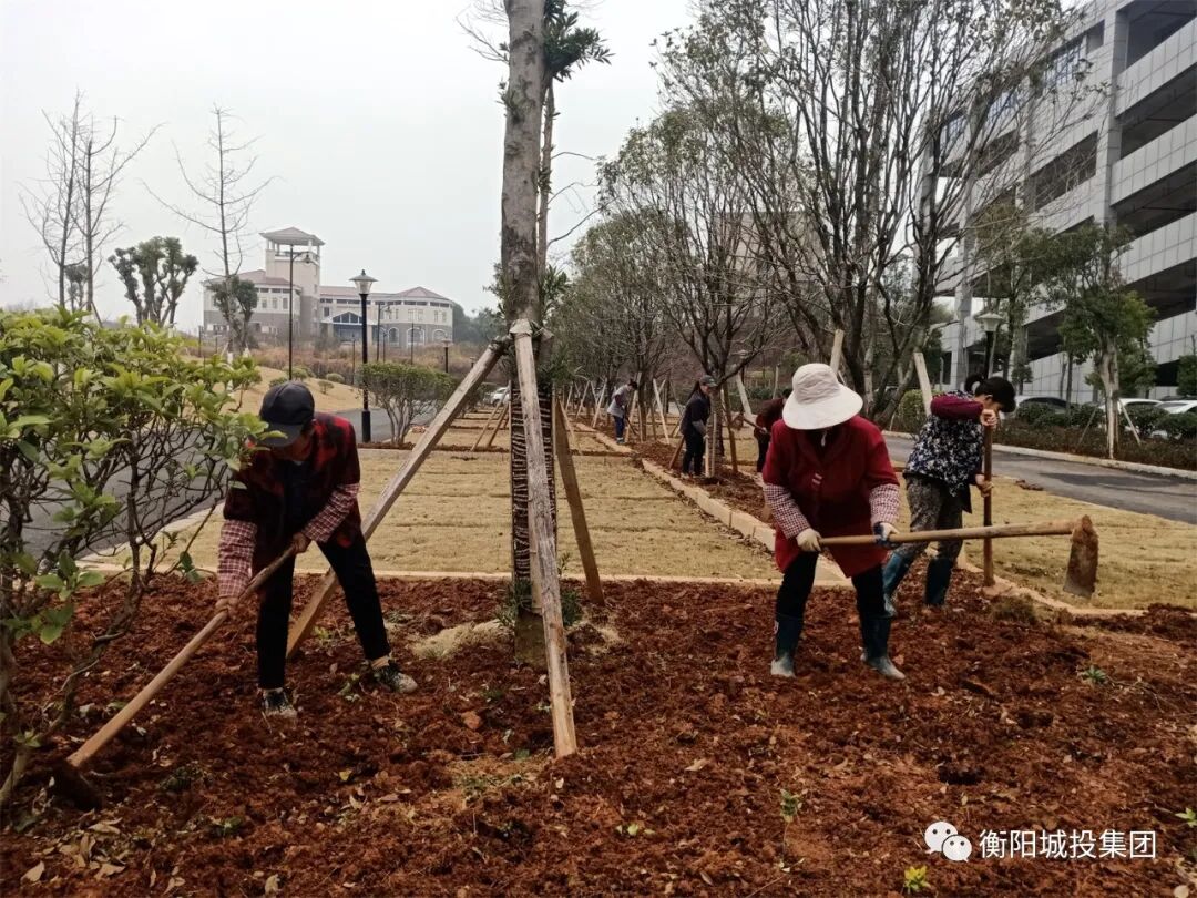 園林施工 莫雪松攝.jpg
