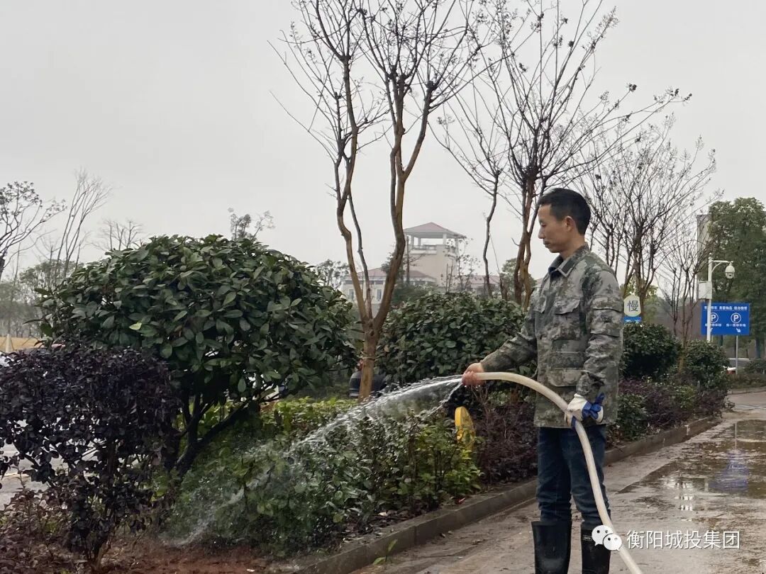 一片生機 莫雪松攝.jpg