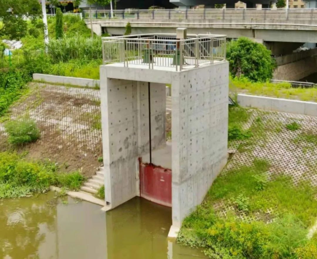 我为群众办实事丨蓬江一批泵站水闸投入使用防洪排涝战斗力再升级