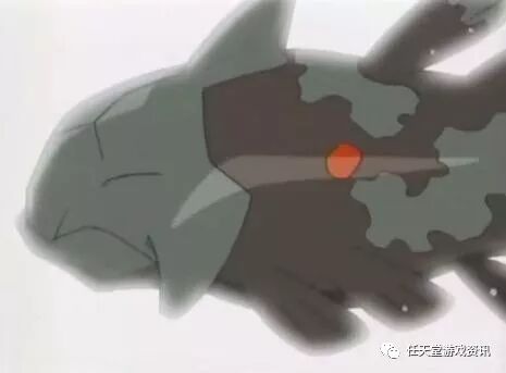 古空棘鱼_古空棘鱼是什么进化的_古空棘鱼分布