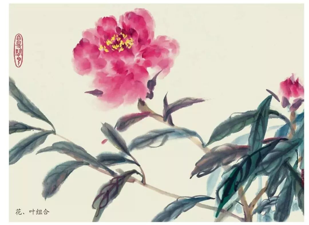 国画技法 各种花卉的写意画法 中威腾飞 微信公众号文章阅读 Wemp