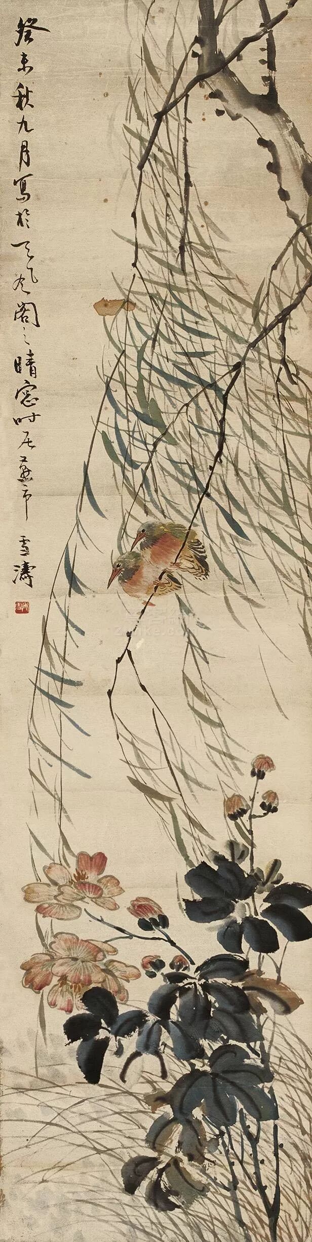 图片