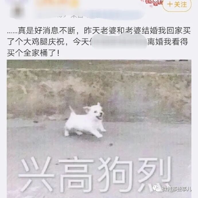 老婆守恒定律 日本老婆结婚了 中国女神离婚了 网友们庆祝佟丽娅离婚 Hi有料