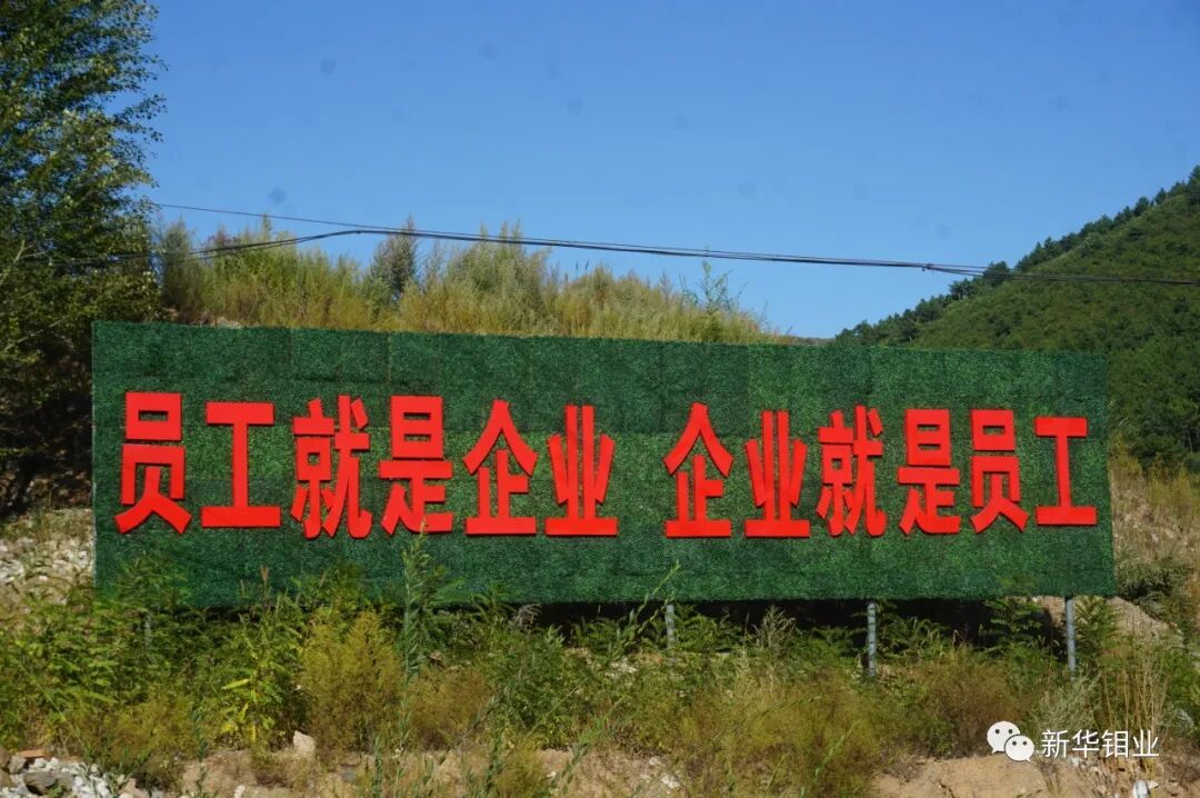 新华钼业总经理戴泽刚携全体员工给您拜年了！(图7)