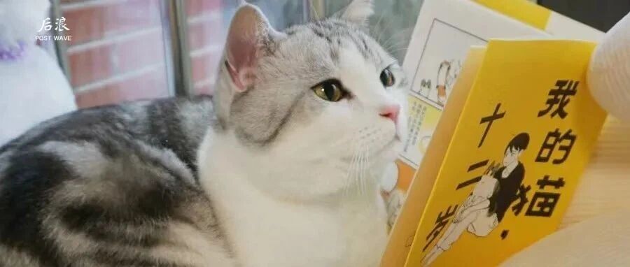 每当我打开家门，猫，就在那里等着我