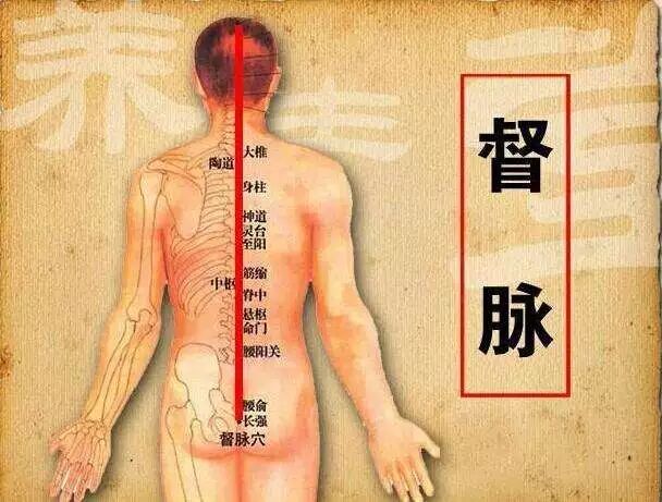 古法经络|“阳脉之海”——督脉！