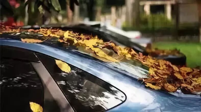 汽车养护最重要的8个部位