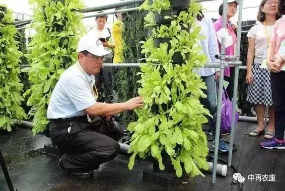 台灣旅遊推薦 / 台灣田園綜合體與鄉村旅遊20條經驗賞析 旅行 第18張