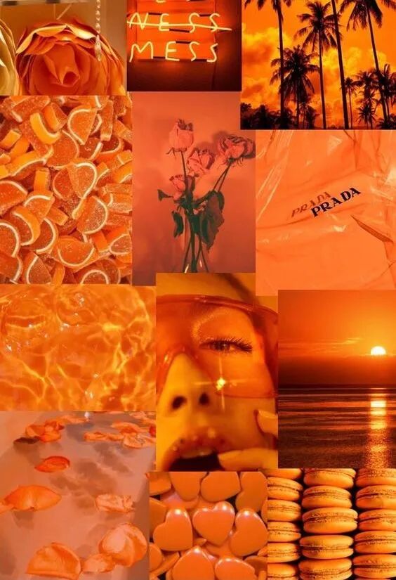 流行趋势|2022秋冬色彩报告(图28)