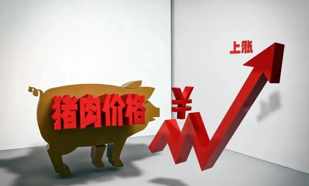 一觉醒来全国猪价开启涨价节奏电视剧都不敢这样演