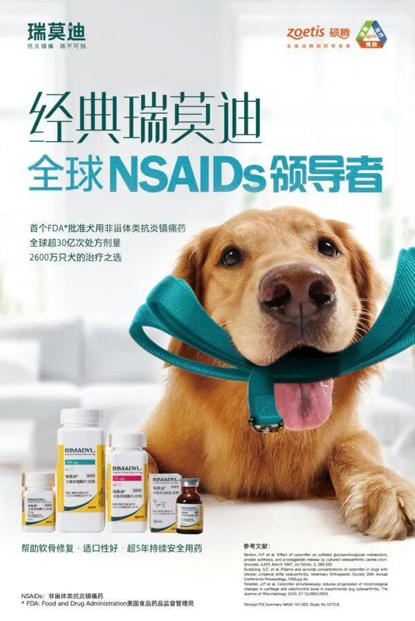 硕腾中国宠物事业部总经理李毅：研发导向 造就全球动保龙头 | pet healthcare专访_报告_维宠宠物导航网