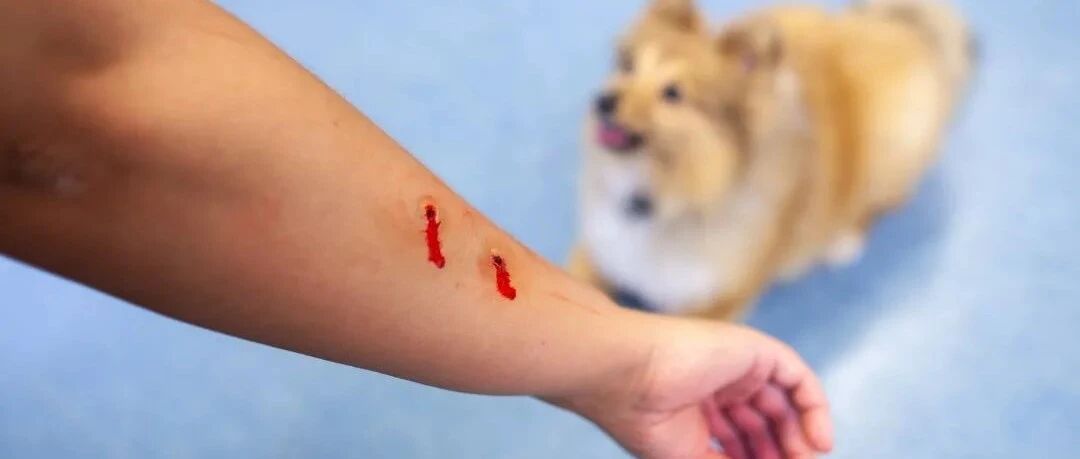 重庆8岁男童惨死街头，他的悲剧，给所有人提了个醒!