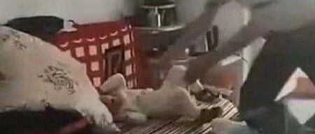 2岁幼童被摔死事件：最恐怖的伤害，来自最亲的人