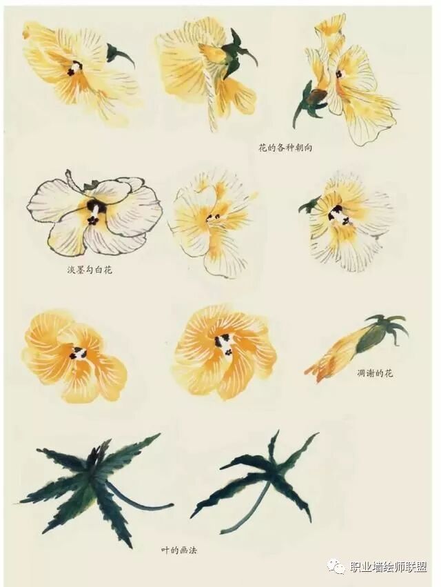 国画干货 各种花卉的写意画法 职业墙绘师联盟 微信公众号文章阅读 Wemp