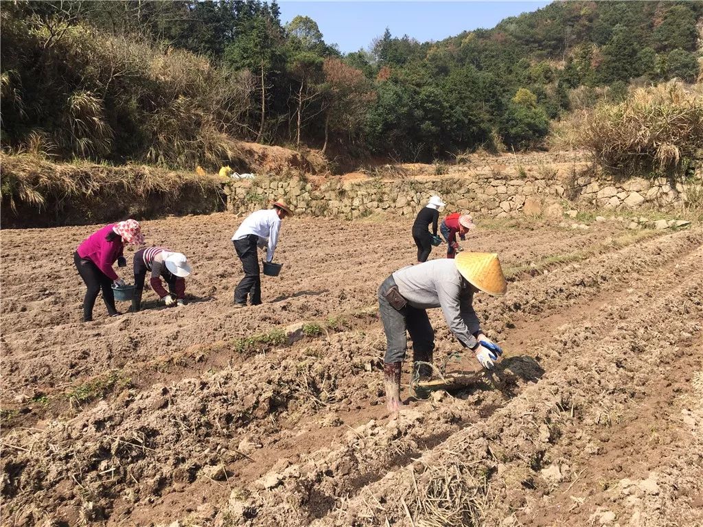 致富经甲鱼_致富经甲鱼养殖技术视频_甲鱼致富经