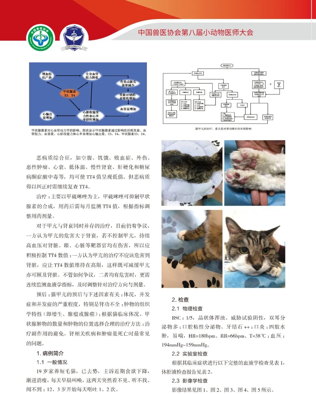 小动物病例报告分享】内科u2014u2014一例猫甲亢继发全身高血压及心肌肥厚_病症_ 