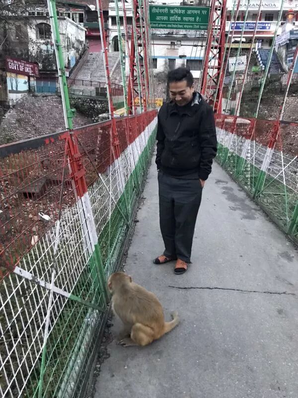 瑜伽发源地Rishikesh之旅