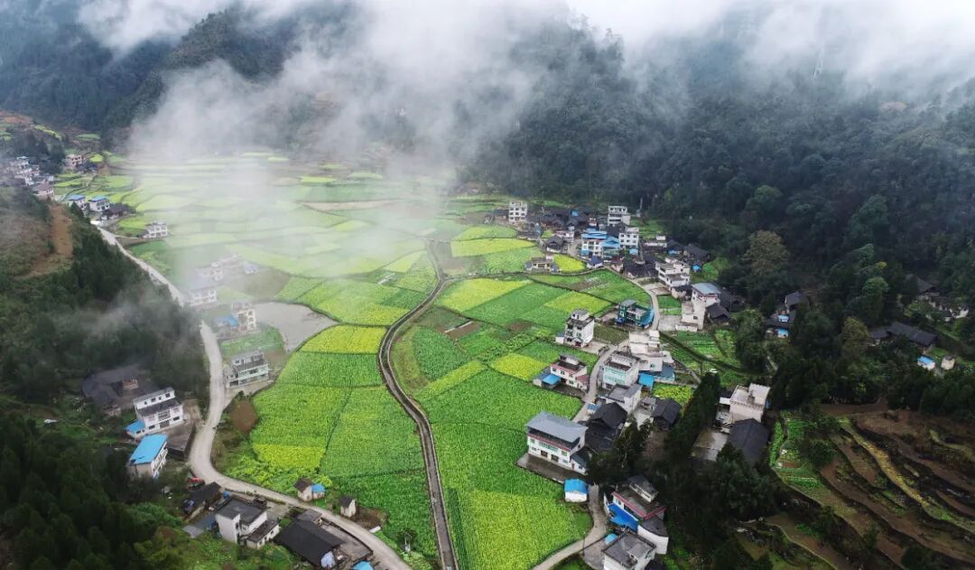 江口县:村美!民富!产业兴!