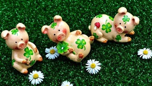 英语口语表达 Happy As A Pig In Clover 英语口语微信公众号文章