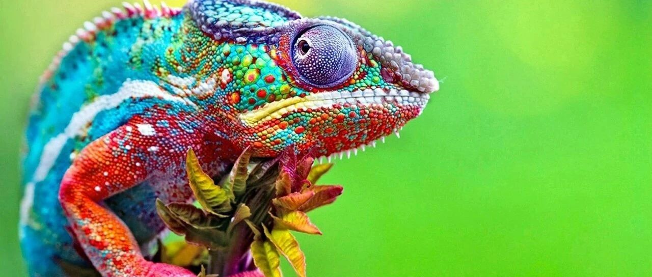 企业数字化转型：IT部门的未来!