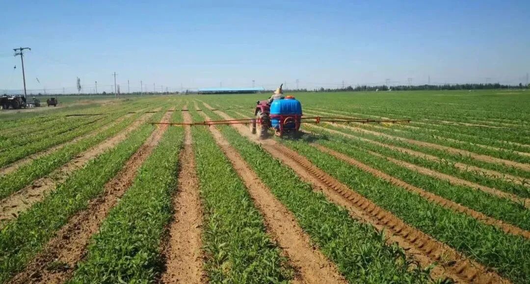有机旱作看山西有机旱作农业的山西答卷