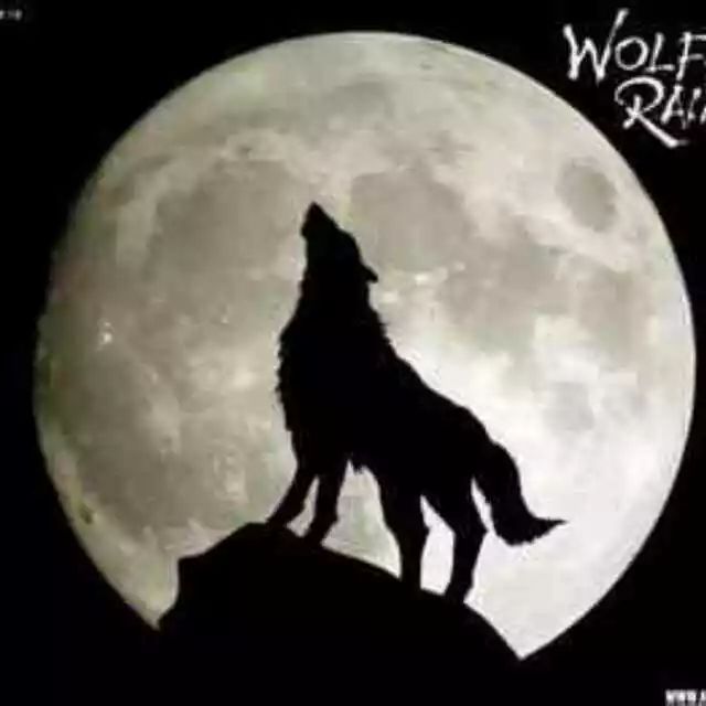 阳气为什么可以治百病？为你揭秘！