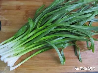 抗菌剂|防霉剂|干燥剂|防水剂