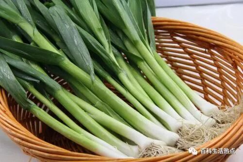 抗菌剂|防霉剂|干燥剂|防水剂