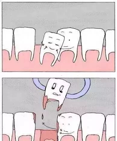 不看不知道，一看牙齿竟在“秀恩爱”......