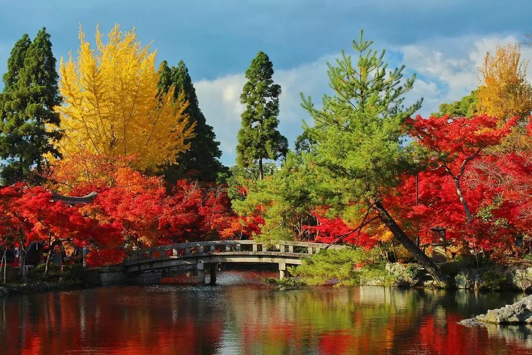 奔走相告 怕你不知道日本秋天超美的秋色还有这里 日本国家旅游局 微信公众号文章阅读 Wemp