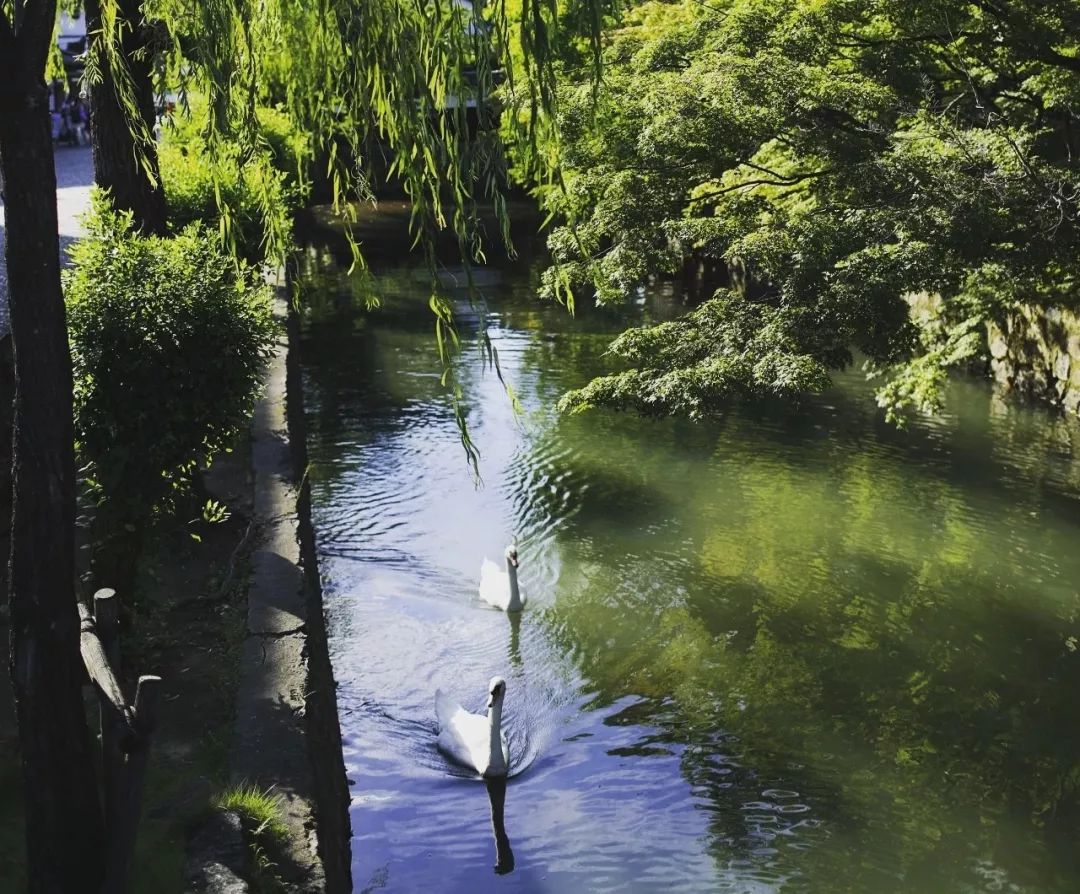 用一場穿越瀨戶內海的旅行，來治愈心靈 旅行 第23張