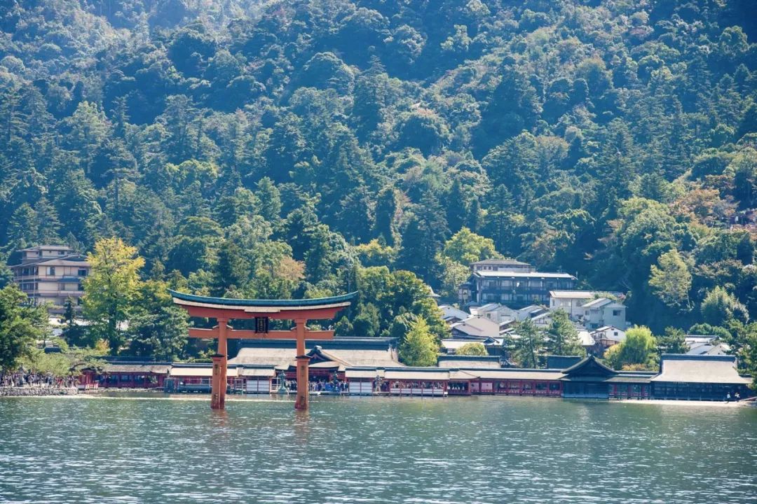 用一場穿越瀨戶內海的旅行，來治愈心靈 旅行 第31張